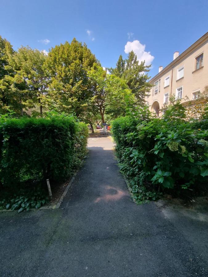 Ultra-Central 1 Bed Apartment, Str Nicolae Iorga Nagybánya Kültér fotó