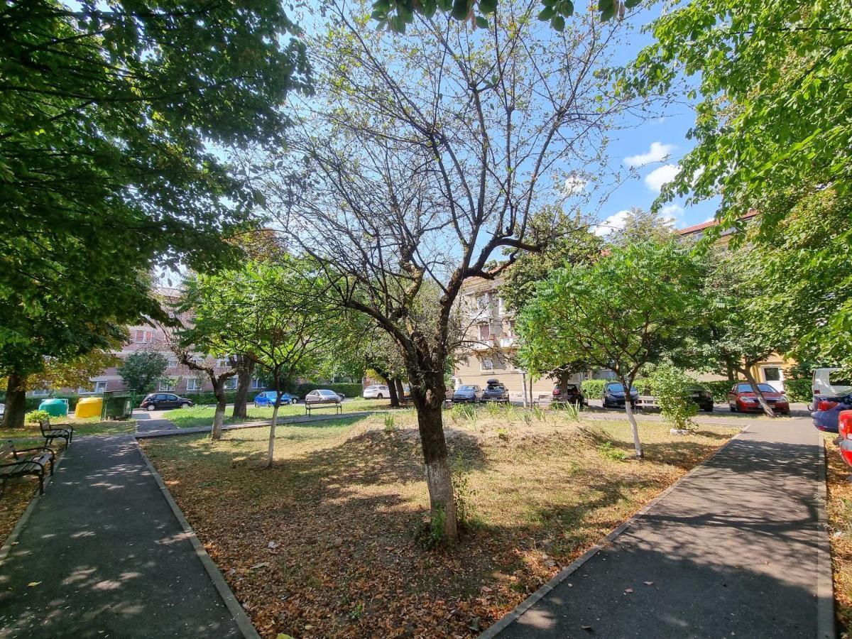 Ultra-Central 1 Bed Apartment, Str Nicolae Iorga Nagybánya Kültér fotó
